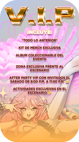 categorias boleto exconvention 09